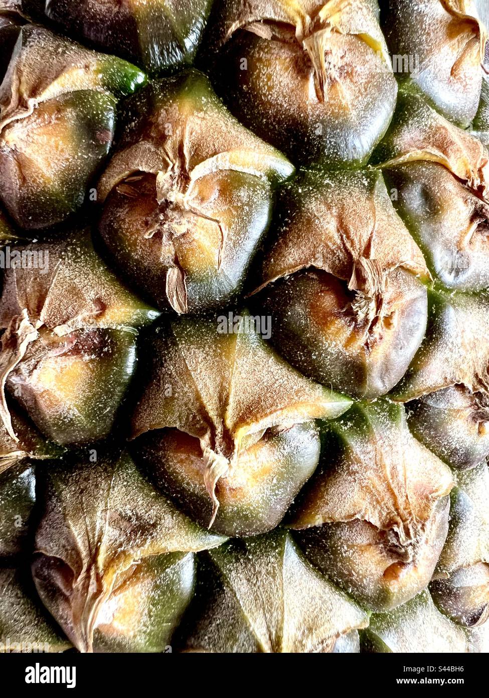 Close up details of a pineapple Stock Photo