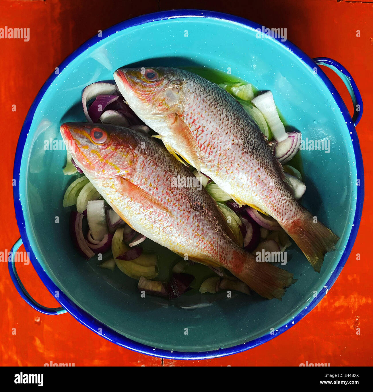 Two red snapper fishes with onion ready to be grilled in Queretaro, Mexico - Smartphone Captured Stock Image