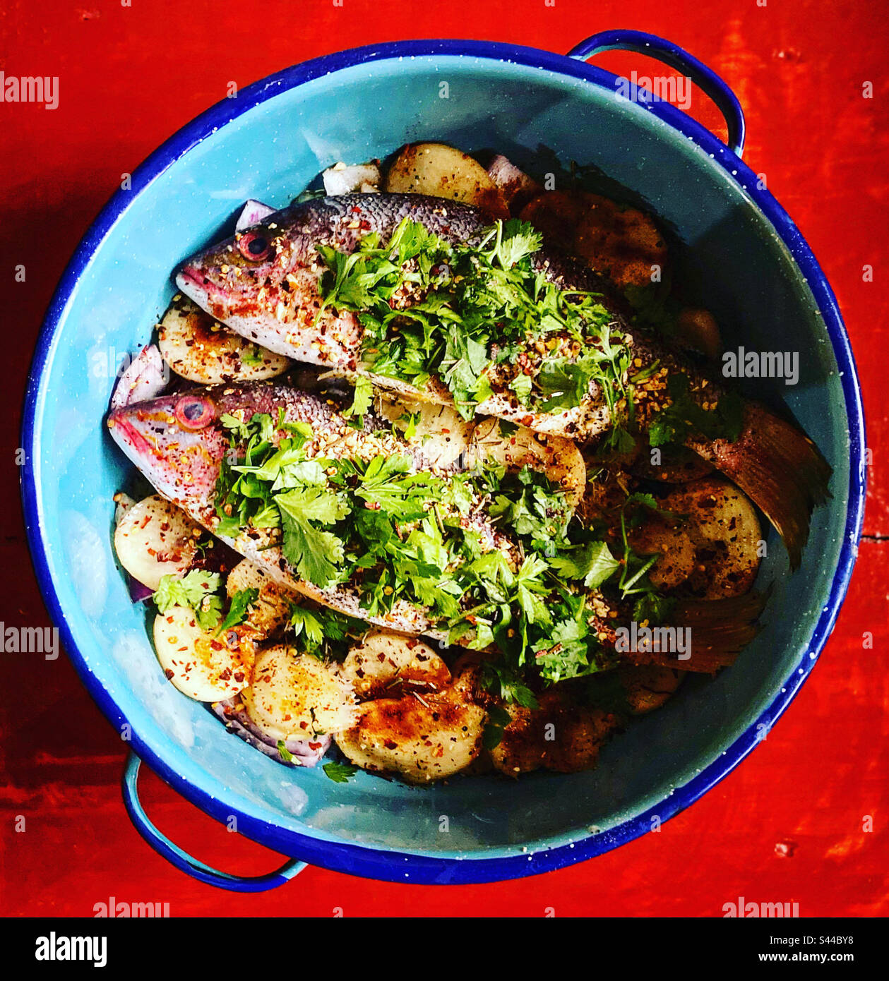 Two red snapper fishes with parsil and potatoes ready to be grilled in Queretaro, Mexico - Smartphone Captured Stock Image