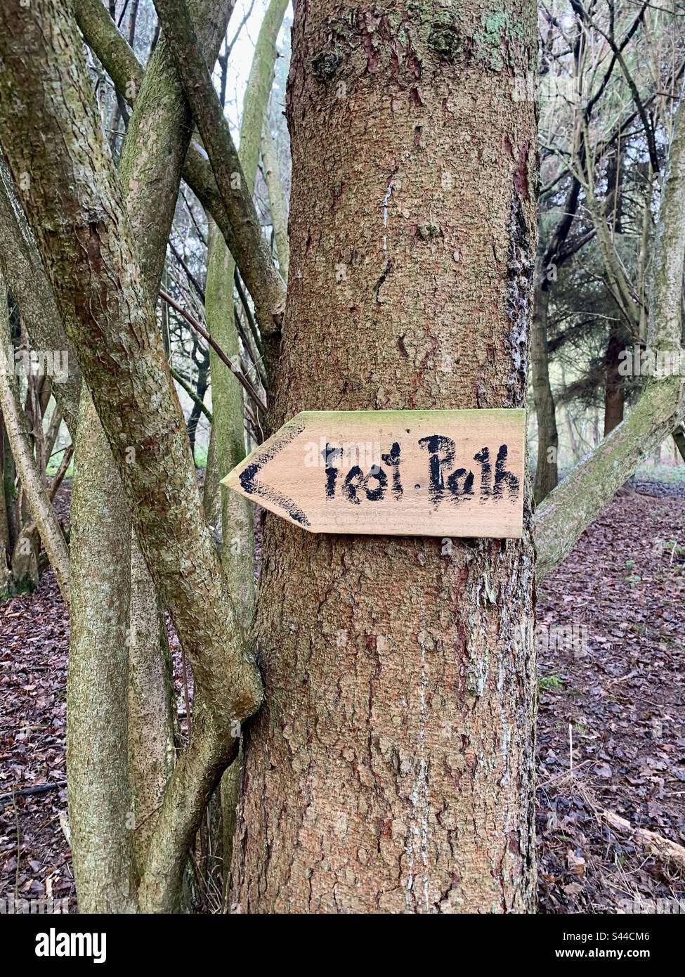 Hand written Footpath sign on tree in woodland - Smartphone Captured Stock Image