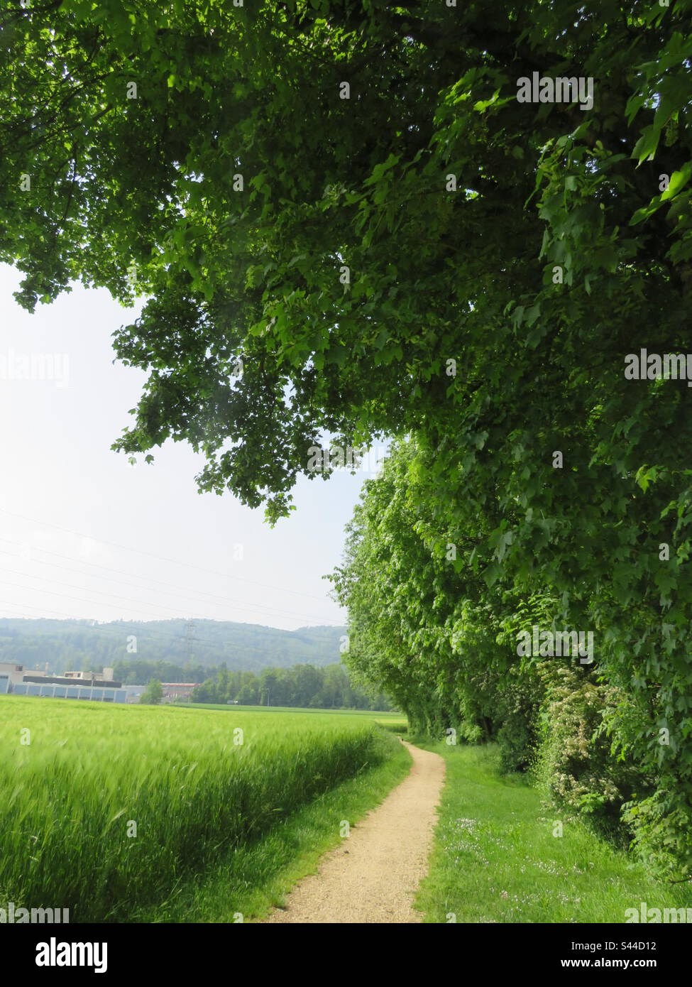 Swiss Landscape Stock Photo