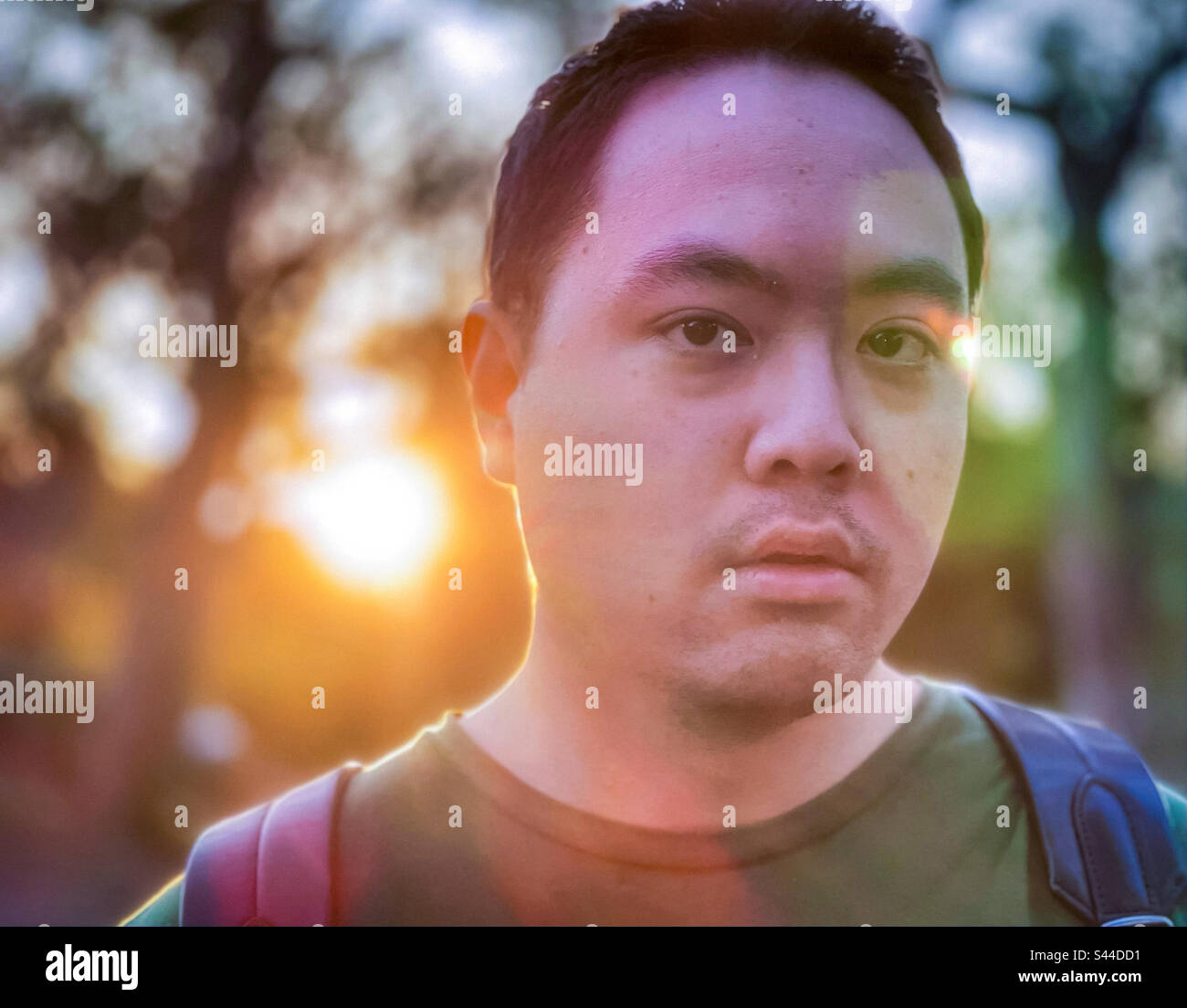 In the gloaming. Close-up portrait of young Asian man against trees and setting sun. Focus on foreground. Backlit. Lens flare effect. - Smartphone Captured Stock Image