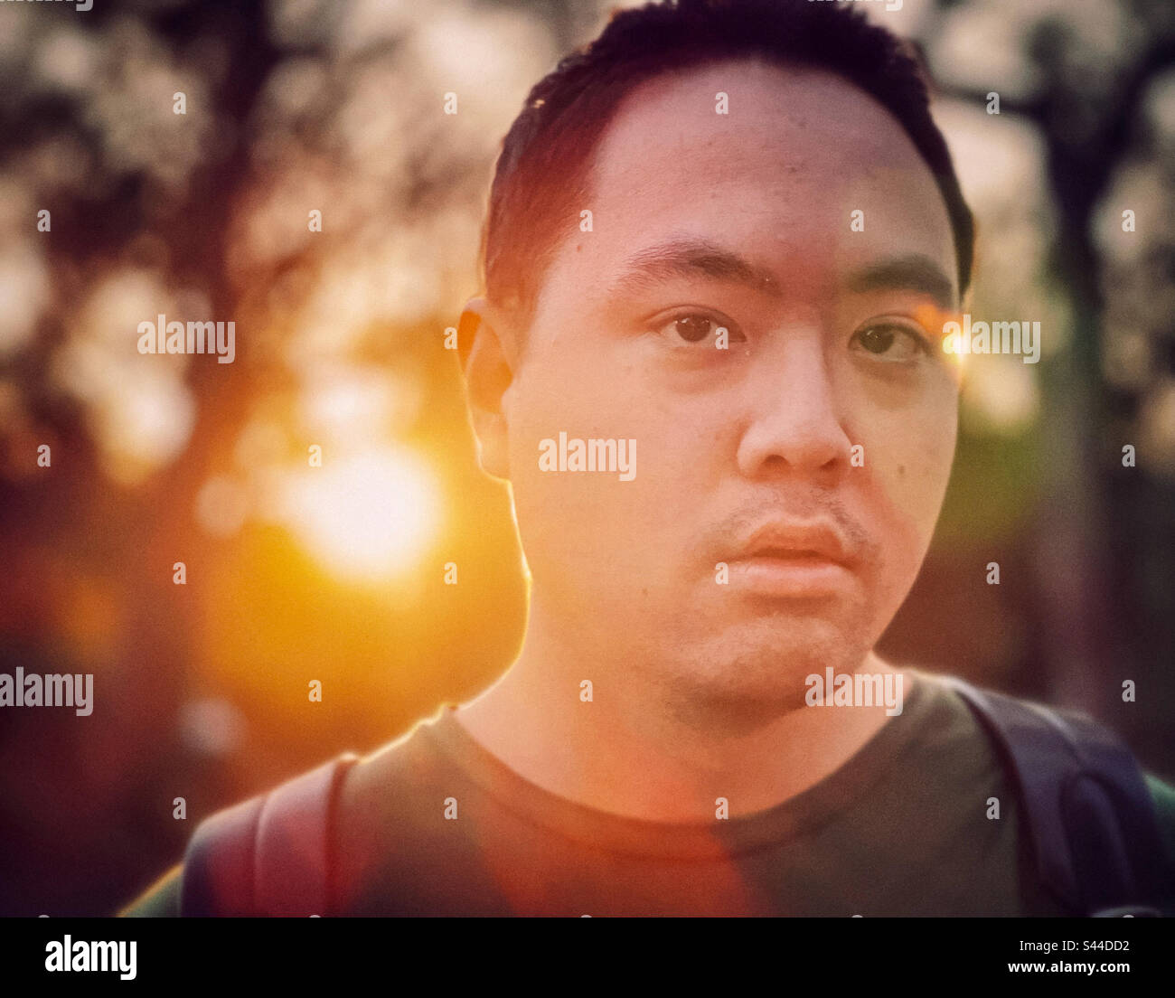 In the gloaming. Close-up headshot of young Asian man against trees and setting sun with lens flare. Focus on foreground. Back lit. - Smartphone Captured Stock Image