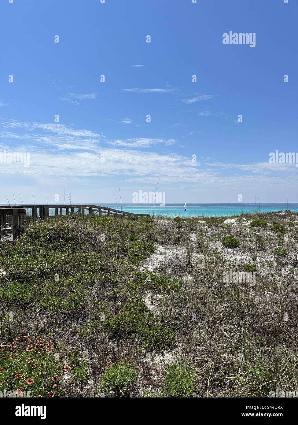 Dunes and walkway at Henderson Beach State Park Florida May 2023 Stock ...