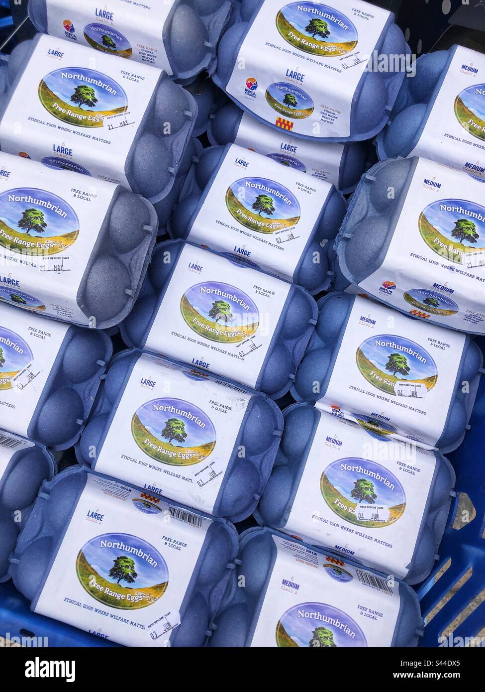 English Northumbrian Free range Eggs size large, for sale at local farmers market - Smartphone Captured Stock Image