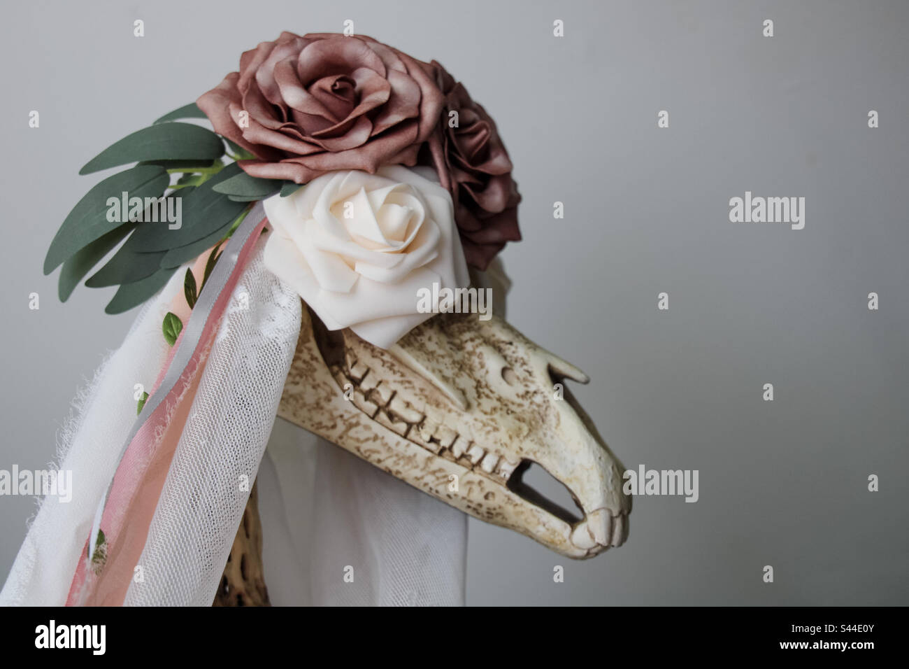 Mari Lwyd Stock Photo