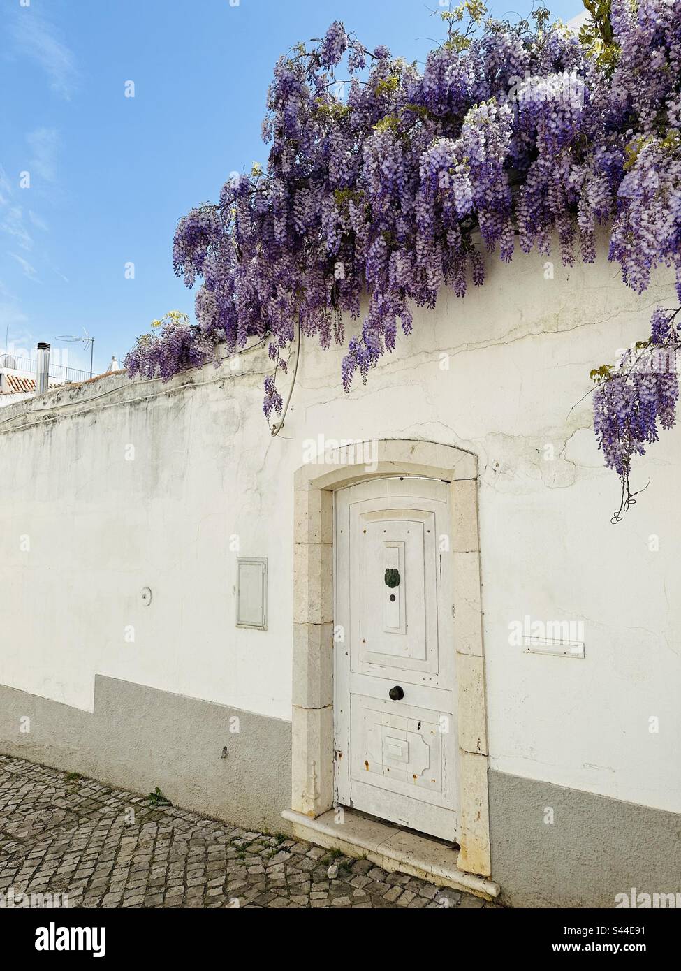 White wall and door with wisteria above, Lagos old town, Portugal - Smartphone Captured Stock Image