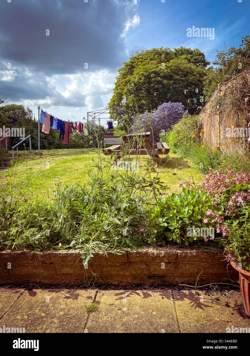 View down a residential back garden with green lawn, planting, trees and cloudy sky. - Smartphone Captured Stock Image