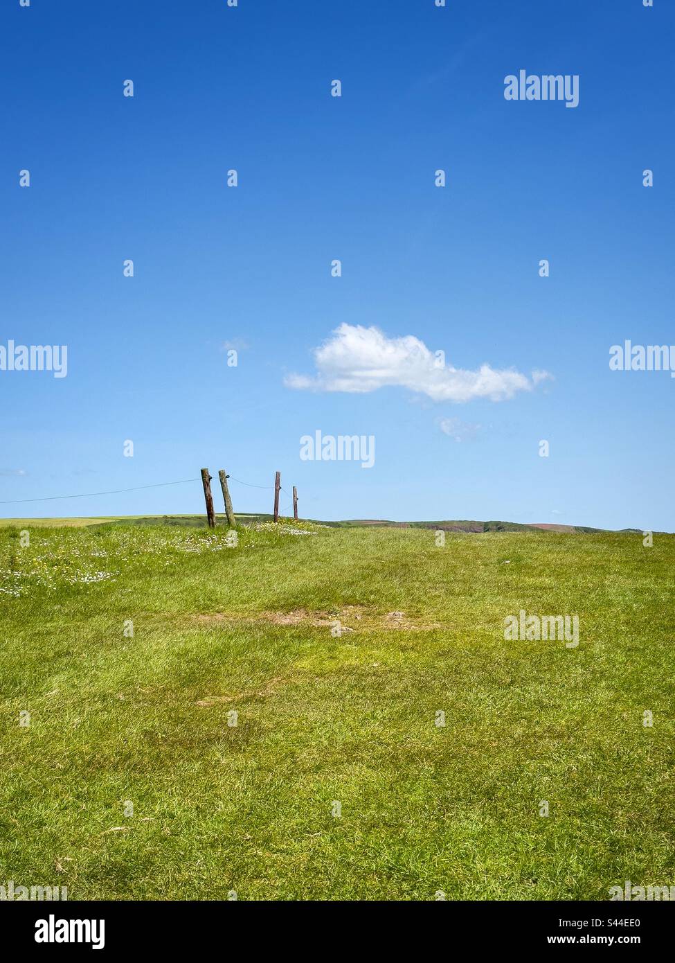 Fence and cloud. Barafundle. - Smartphone Captured Stock Image