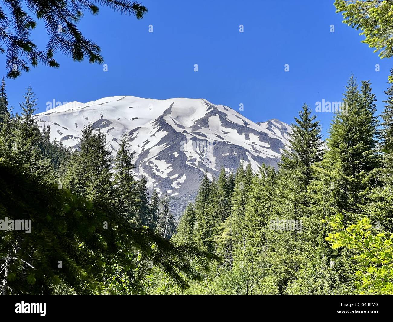 A glimpse of snowy Mt. St Helen Stock Photo Alamy