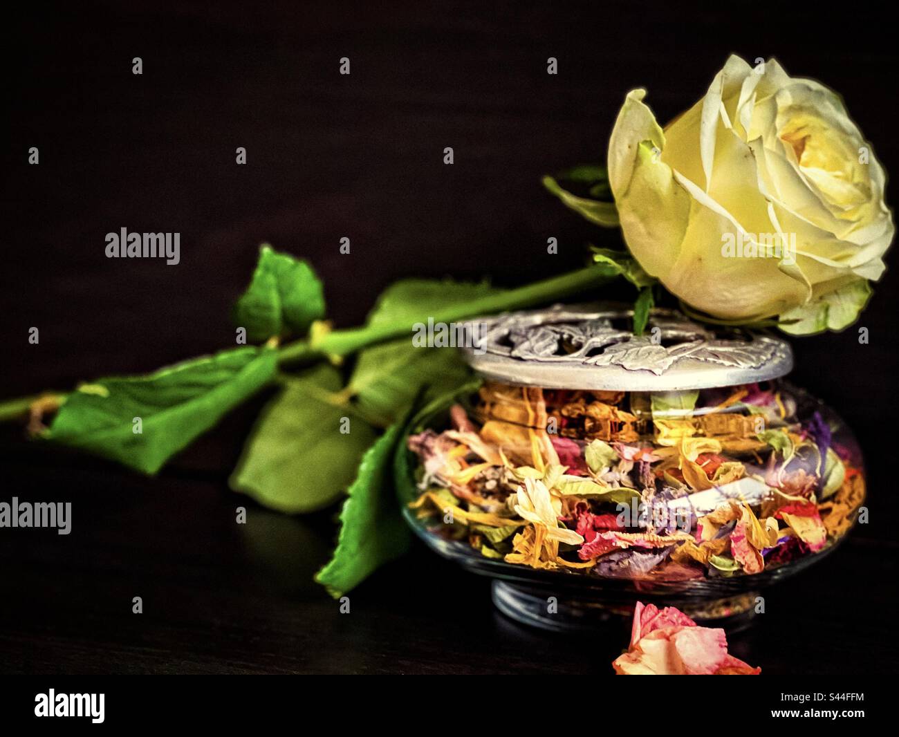 Close-up of single stalk of yellow rose on decorative glass container of rose potpourri with flower petal on black background. Natural fragrance. Well-being. - Smartphone Captured Stock Image