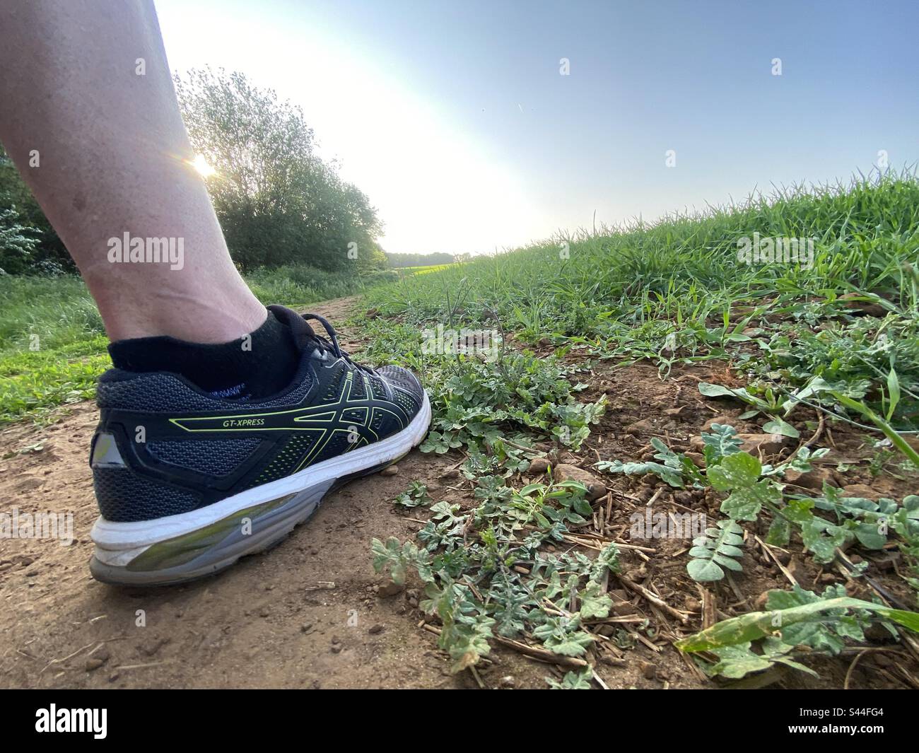 Detail of a runners shoe on a path alongside a field near Shotover Country Park in Oxfordshire. - Smartphone Captured Stock Image