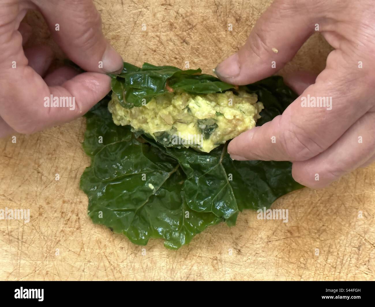 Grandmother hands preparing Sarmale, Romanian Chard Rolls, filled with rice and vegetables Stock Photo