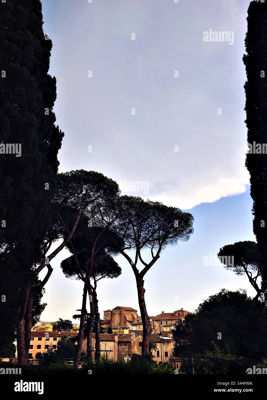View of rooftops and trees from the Parco del Colle Oppio, Rome, Italy Stock Photo
