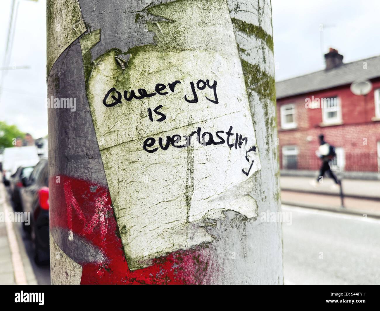 Graffiti on a post that reads queer joy is everlasting. Stock Photo