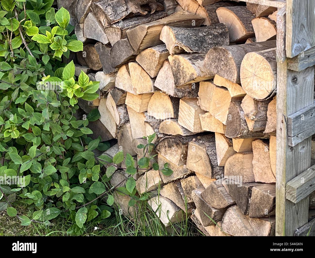 Logs stacked outside - Smartphone Captured Stock Image
