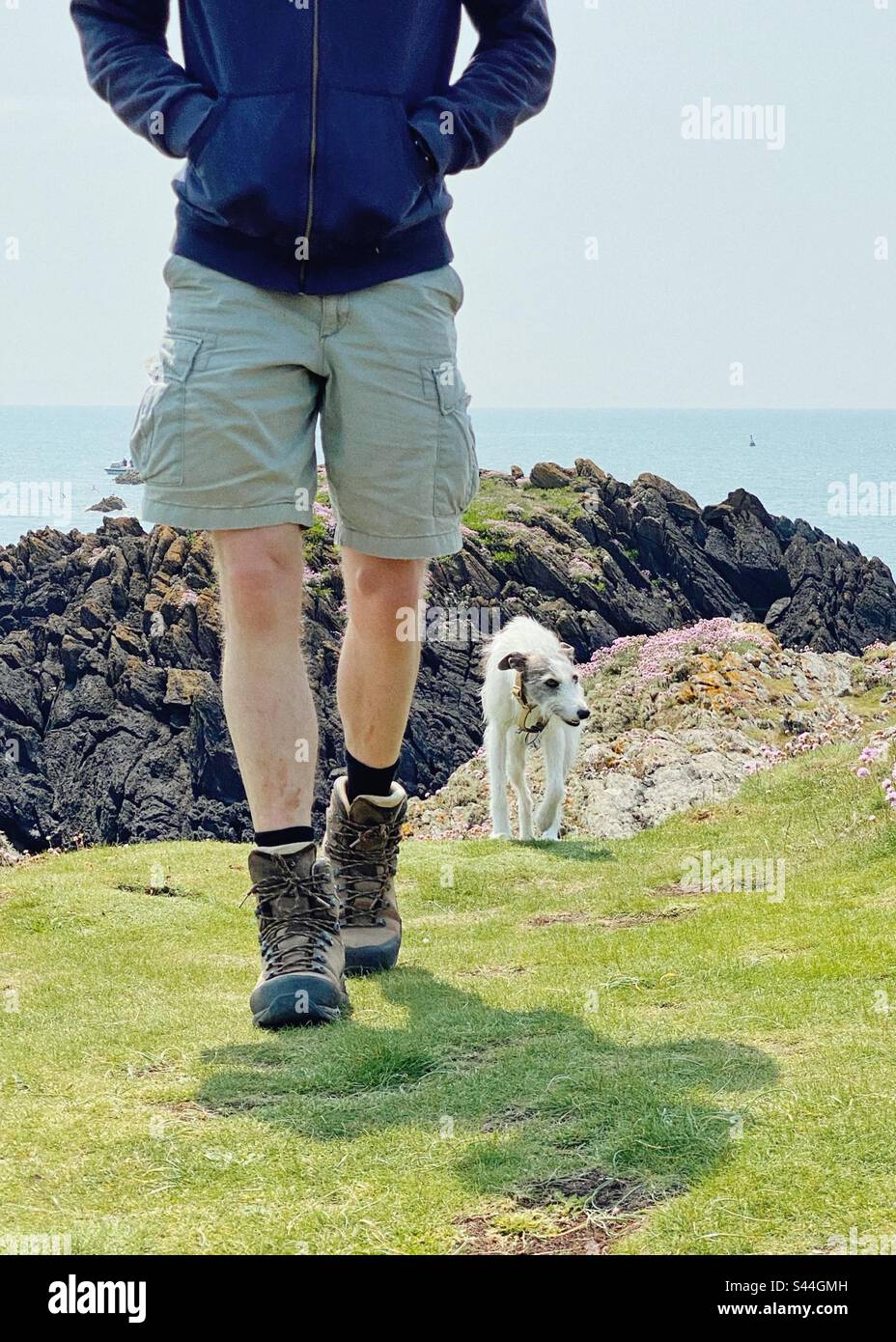 Man and his dog walking on coast at Llandwyn Island, Newborough, Anglesey, North Wales - Smartphone Captured Stock Image