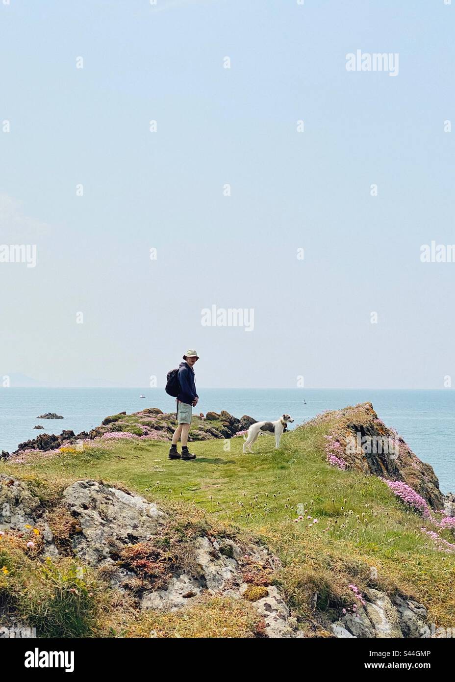 Man and dog on coast of Llandwyn Island, Newborough, Anglesey, North Wales on a sunny May Day. - Smartphone Captured Stock Image