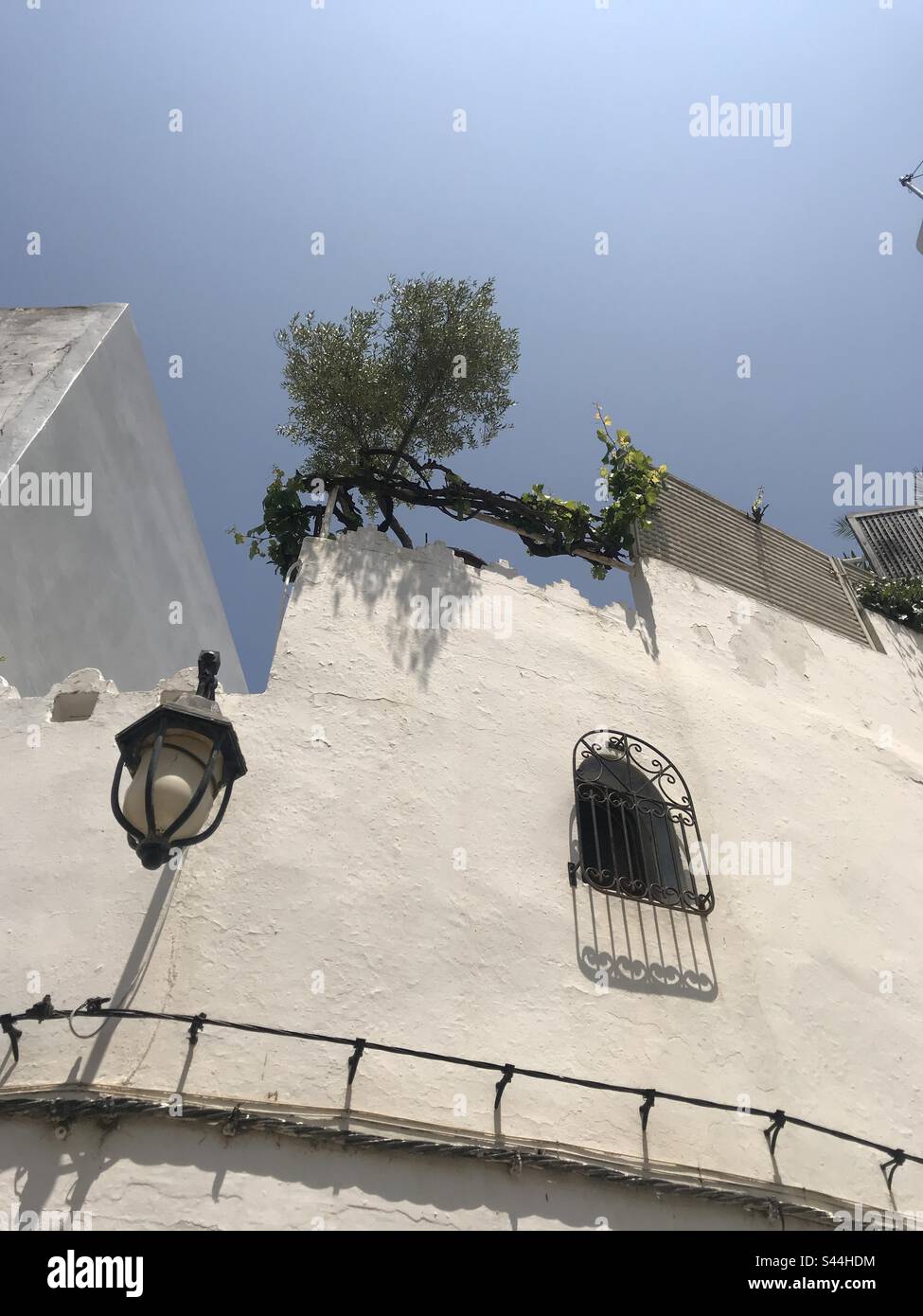 Latern and roof garden Assilah Morocco Stock Photo
