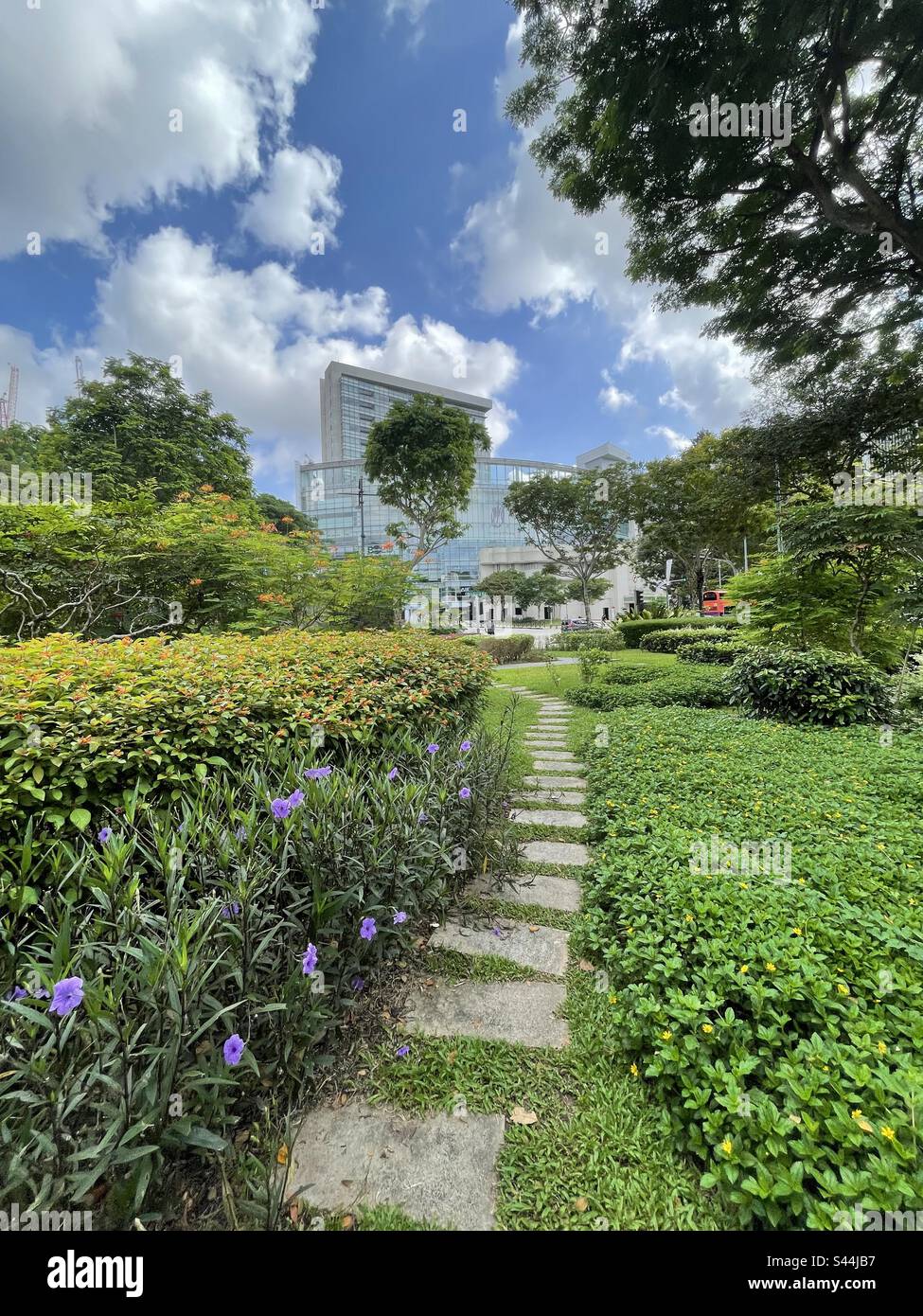 flower garden near Orchard Road, Singapore Stock Photo