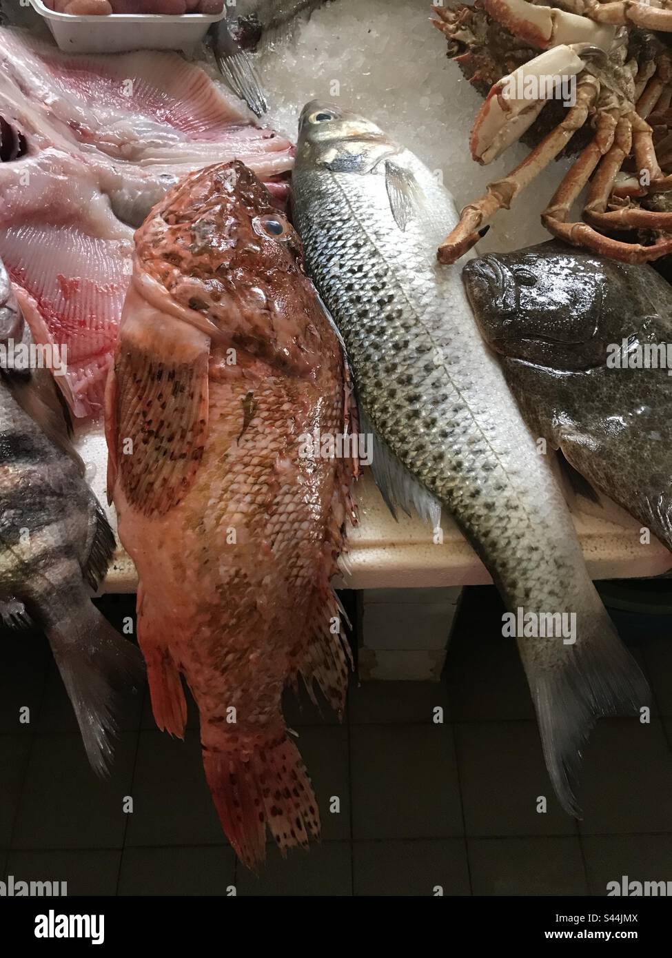 Fresh fish Souk Tanger Morocco Stock Photo
