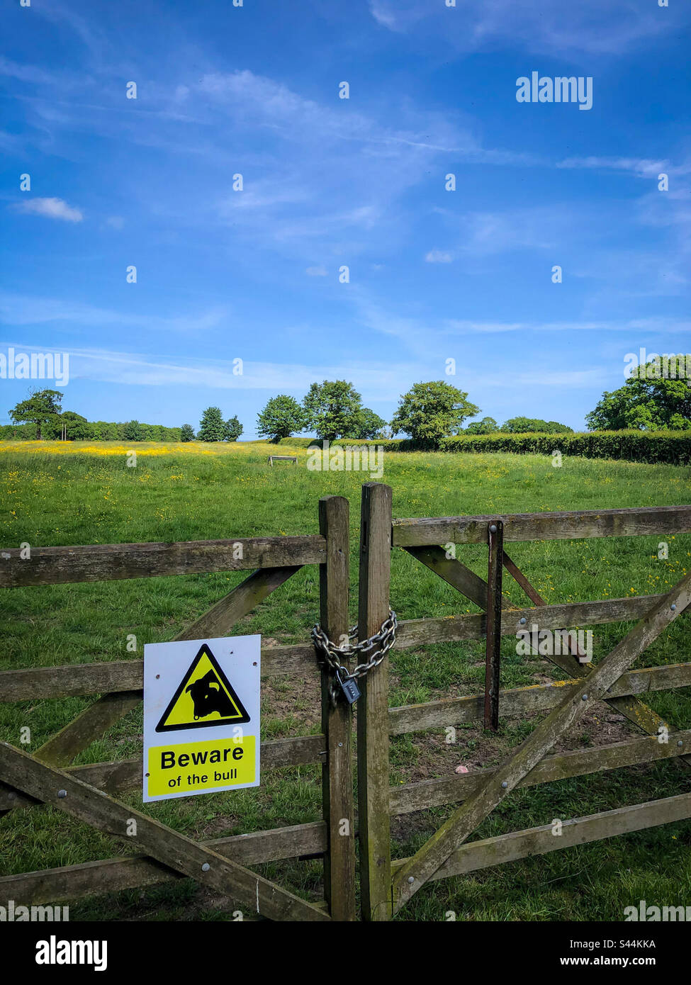 A grass field in summer with a sign saying “Beware of the bull”. North Yorkshire, England, United Kingdom - Smartphone Captured Stock Image