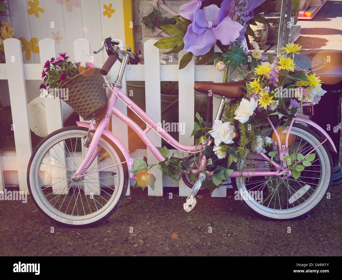 Pretty in pink bike shop