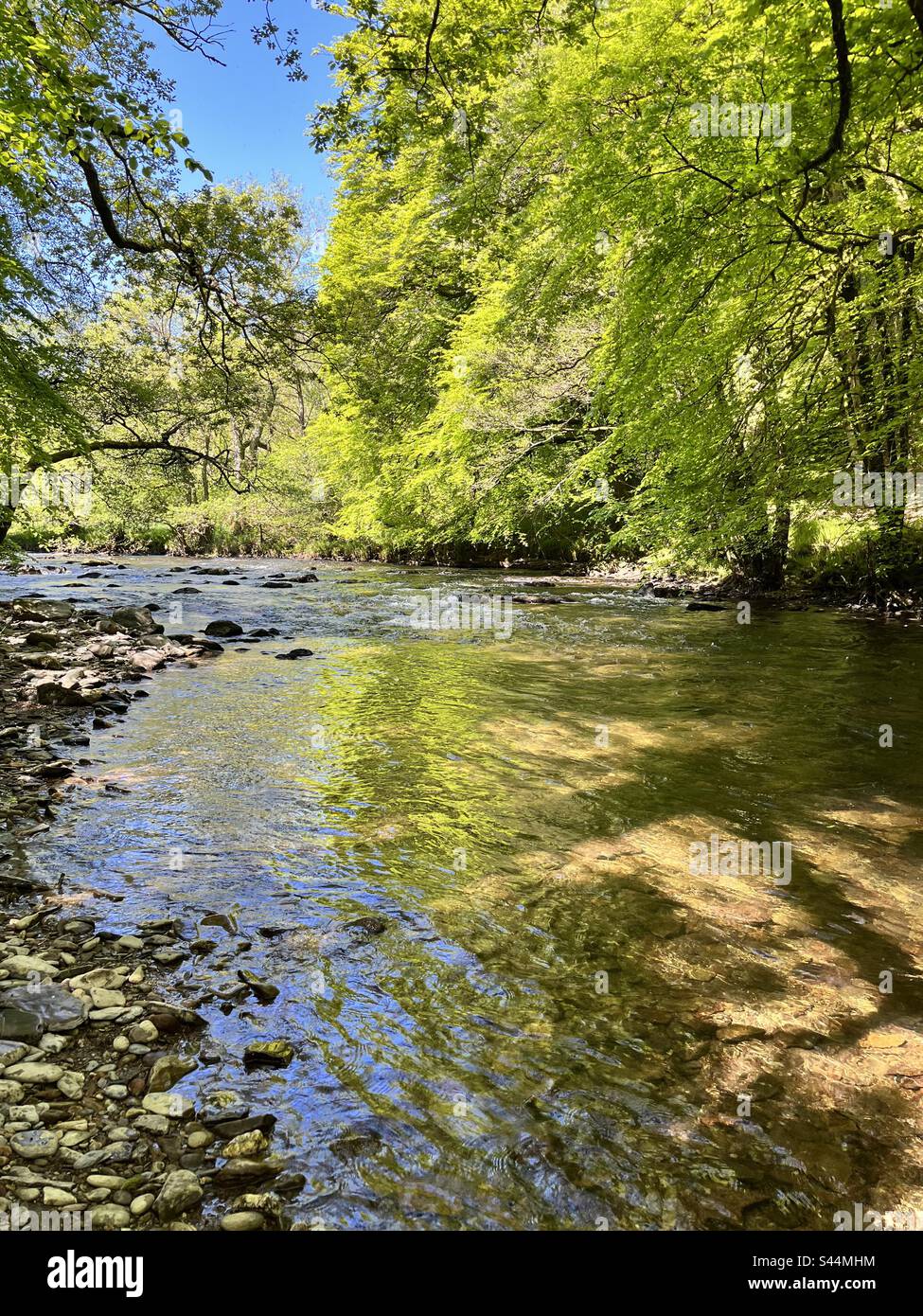 Tranquil river hi-res stock photography and images - Alamy