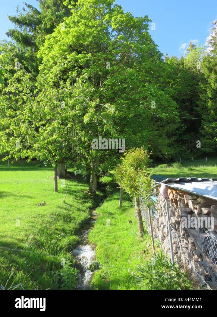 Brook! Switzerland! - Smartphone Captured Stock Image