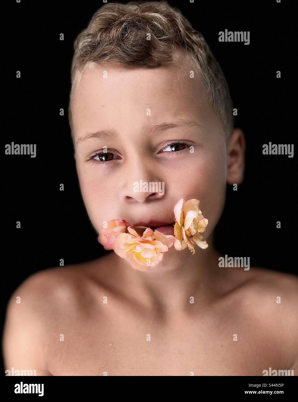Portrait Of Young Boy With Flowers In His Mouth Does This Picture Have portrait-of-young-boy-with-flowers-in-his-mouth-does-this-picture-have