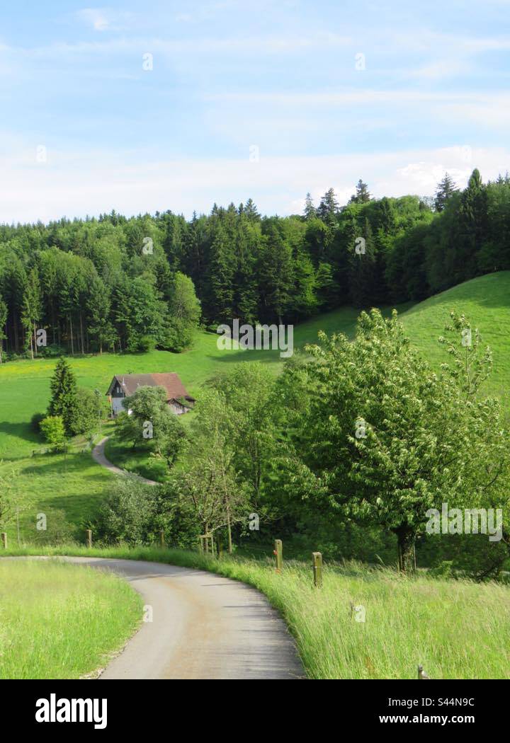 Landscape and Street! Switzerland! - Smartphone Captured Stock Image