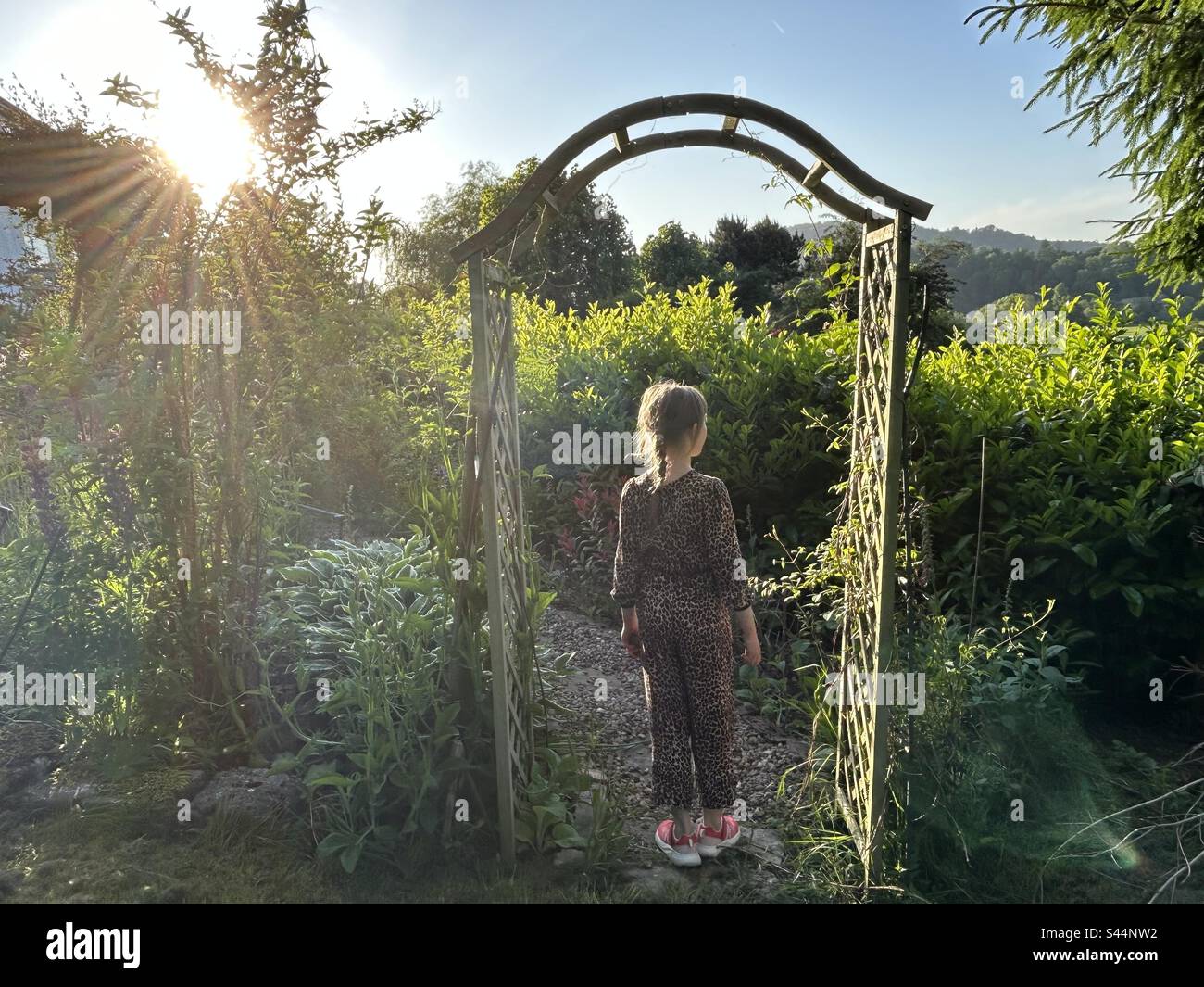 Girl under a rose arch in a sunny garden - Smartphone Captured Stock Image