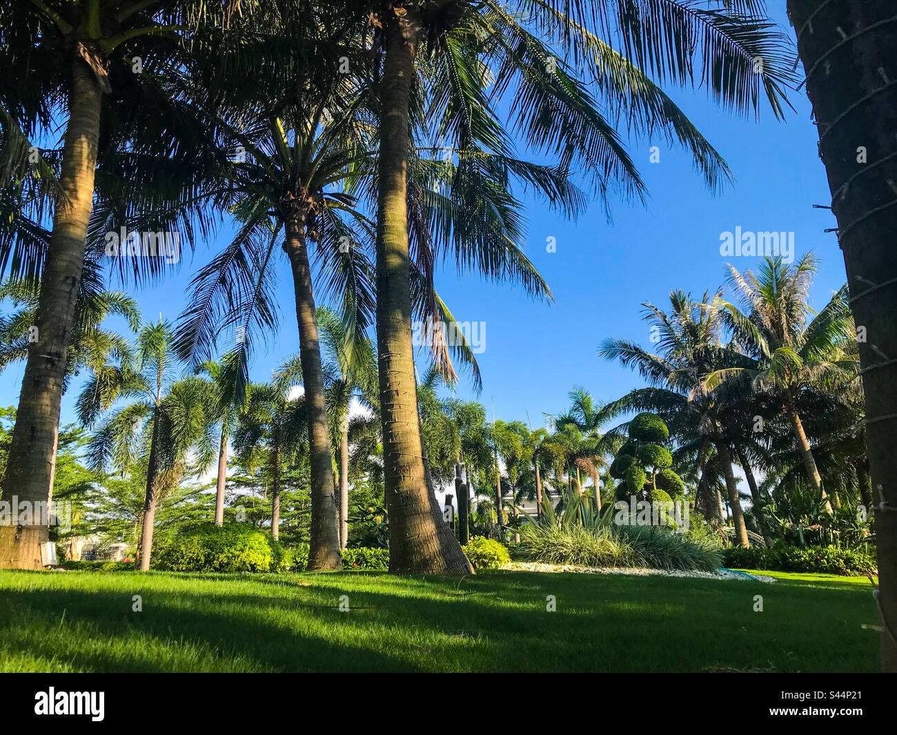 Tropics paradise hi-res stock photography and images - Alamy