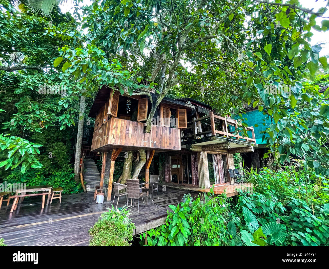 Treehouse coffee shop Stock Photo Alamy