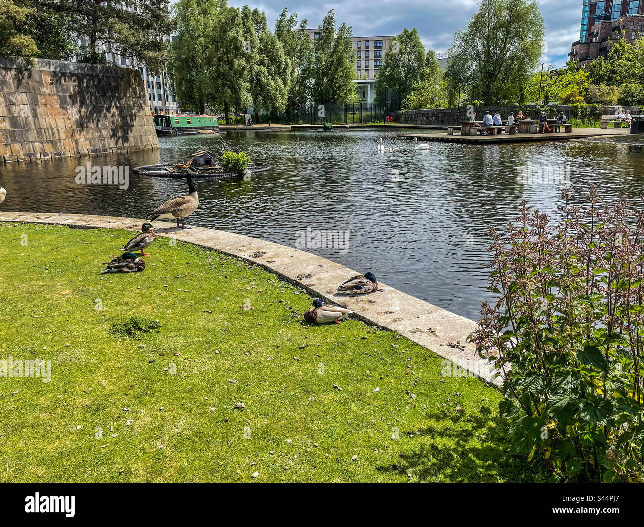 New Islington marina, Manchester - Smartphone Captured Stock Image