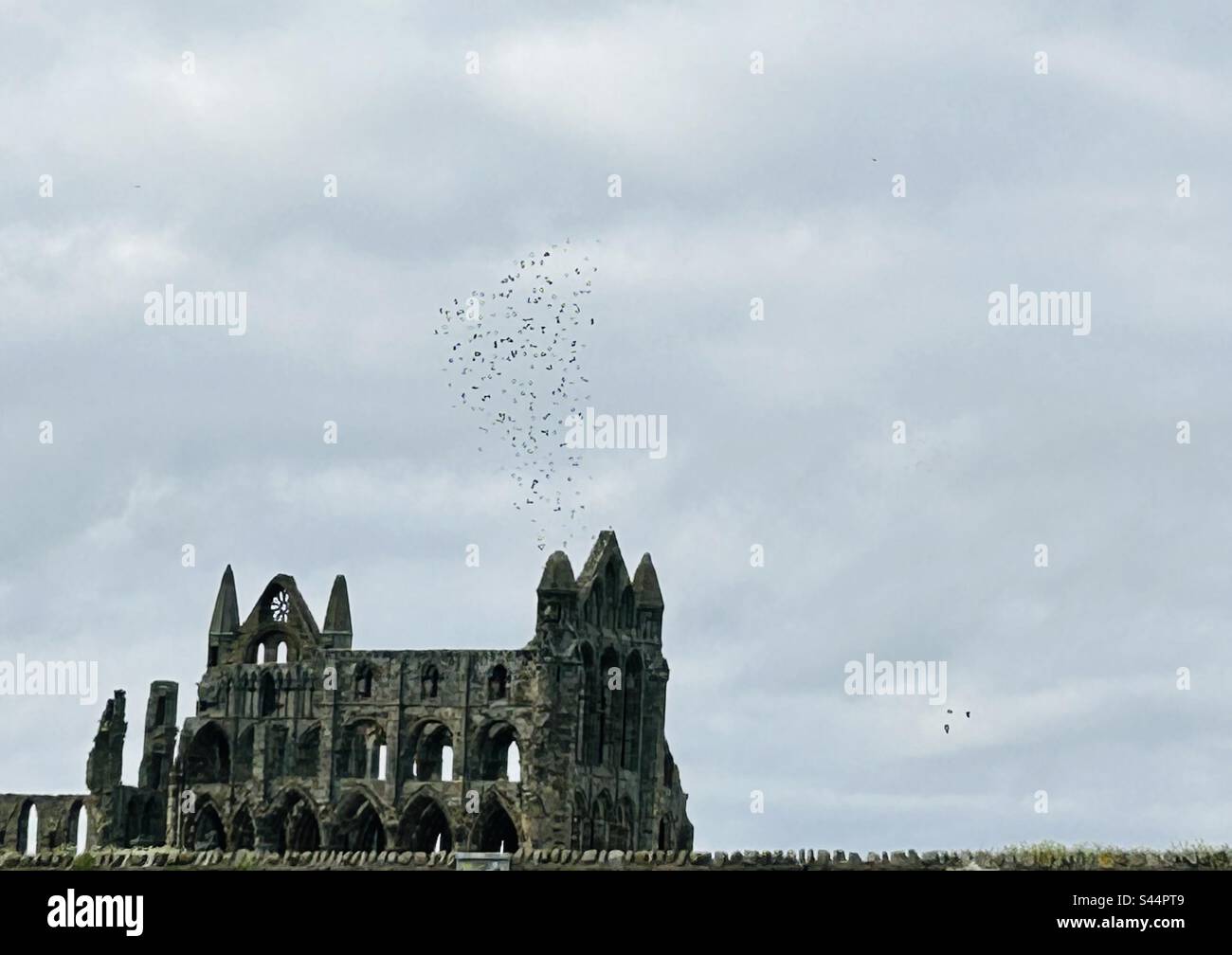 Whitby Abbey with lots of copy space and a flock of birds swirling in the sky - Smartphone Captured Stock Image