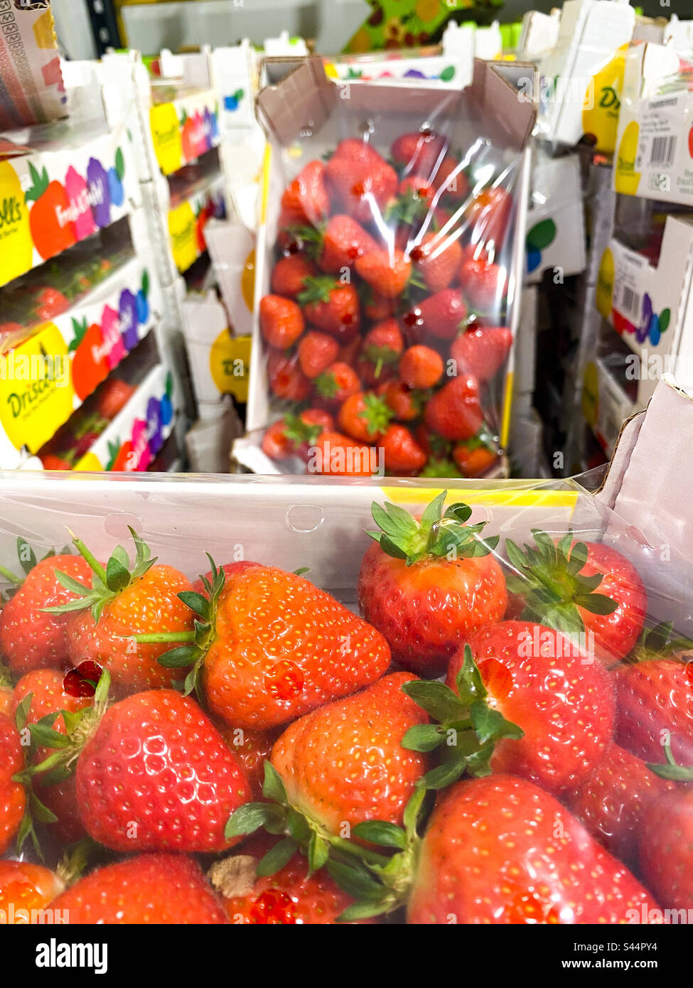Fresh strawberries in packaging on display in a shop. - Smartphone Captured Stock Image