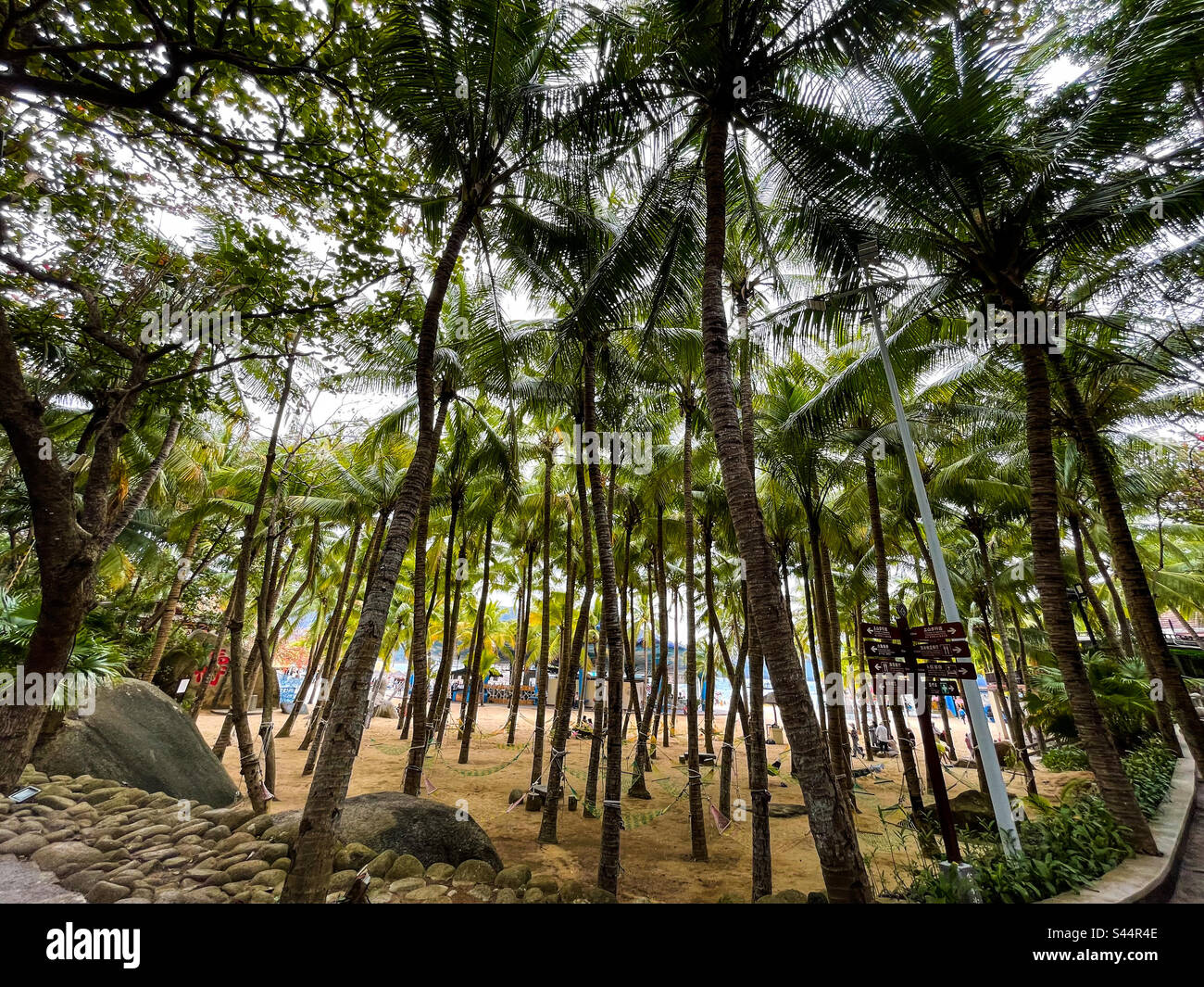Tropical paradise hi-res stock photography and images - Alamy