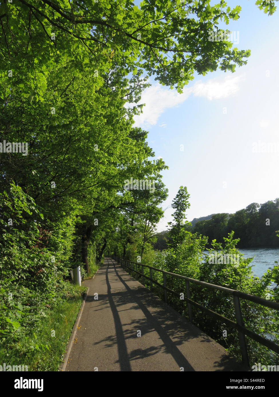 River Street! Olten! Switzerland! - Smartphone Captured Stock Image