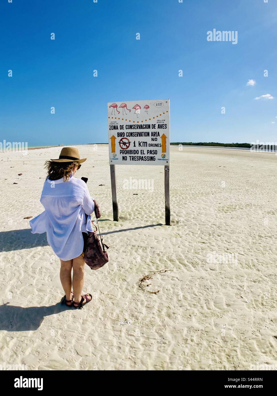 A woman stops to take a photo of a notification board. - Smartphone Captured Stock Image