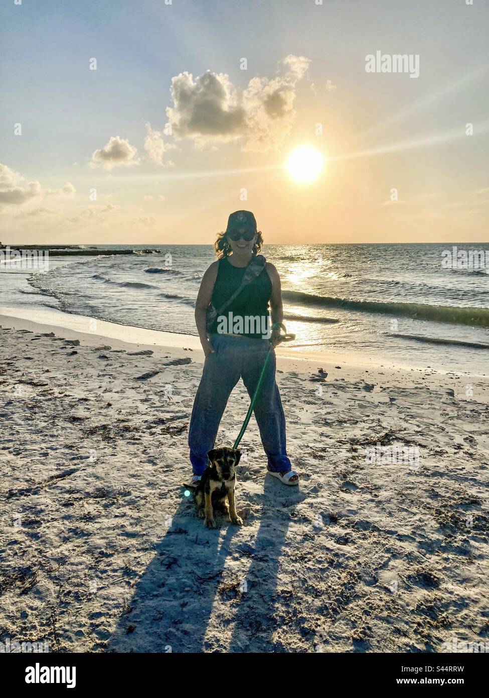 Walking puppies from the Holbox animal rescue on the beach at sunset. - Smartphone Captured Stock Image