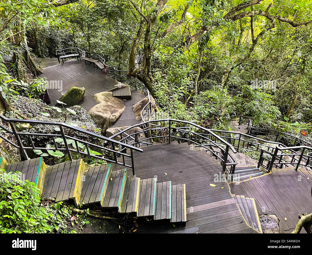 Wooden staircase in a rainforest Stock Photo - Alamy