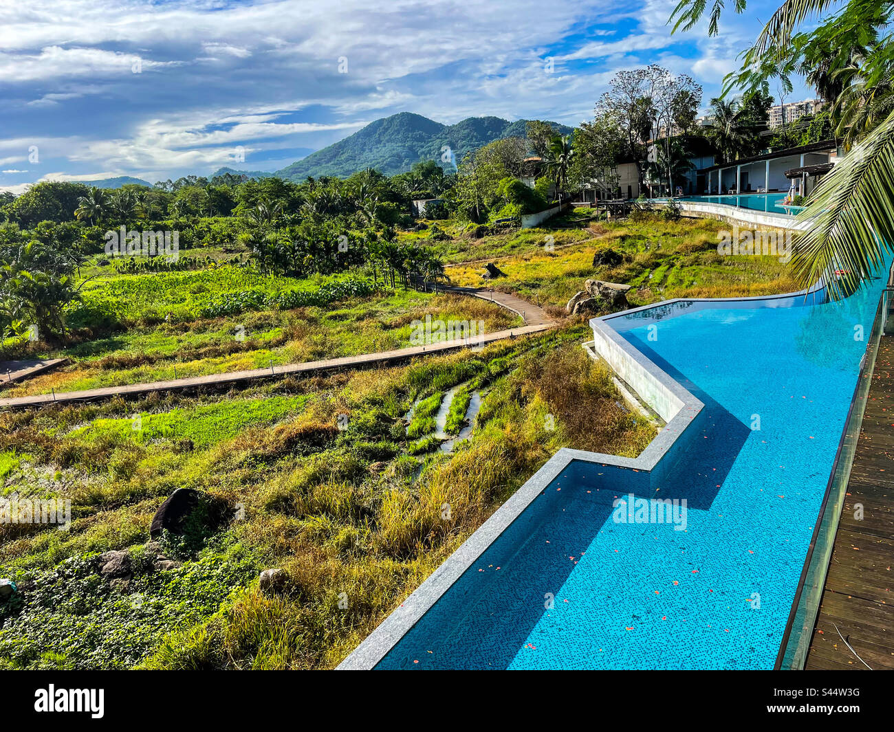 swimming-pool-in-the-rainforest-stock-photo-alamy