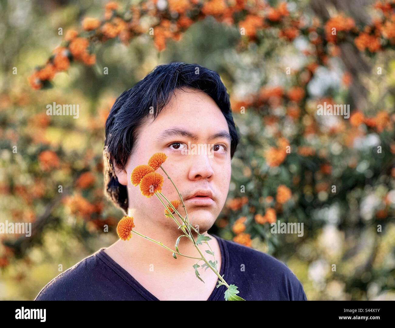 Portrait of young Asian man holding orange mums flowers against orange Cotoneaster berry trees. Focus on foreground. Autumn themes. Stock Photo