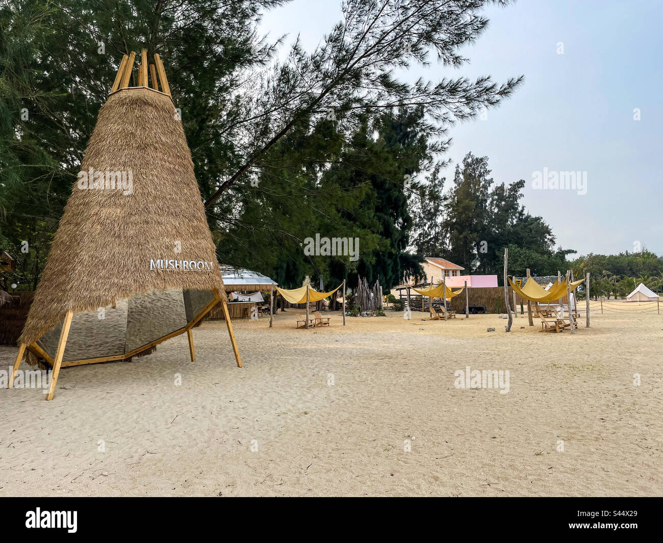 Beach bar - Smartphone Captured Stock Image