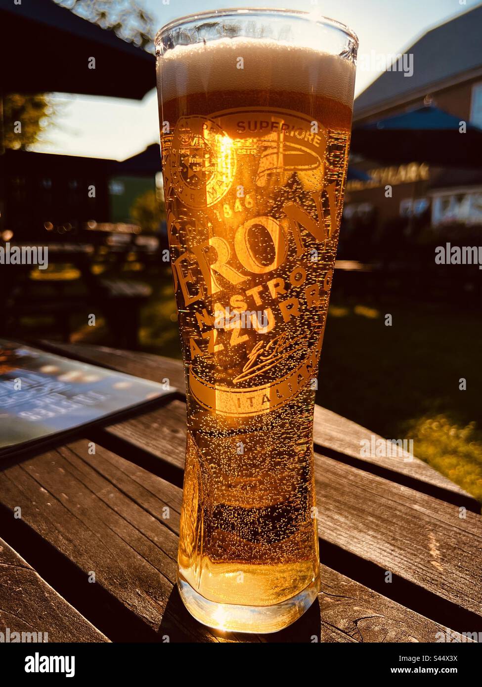 https://c8.alamy.com/comp/S44X3X/pint-of-peroni-italian-lager-in-the-summer-sunshine-at-an-english-pub-garden-at-sunset-S44X3X.jpg