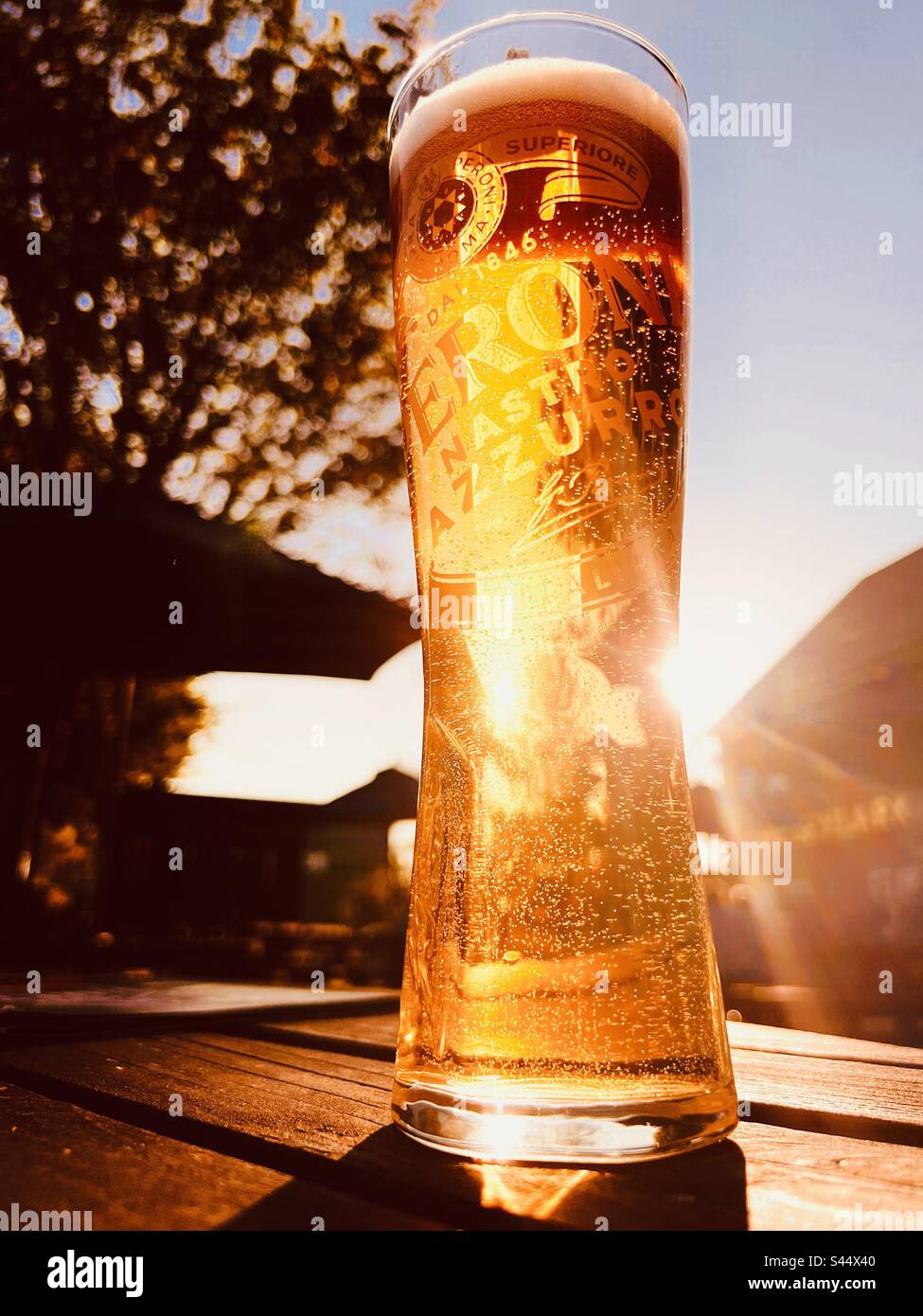 https://c8.alamy.com/comp/S44X40/interesting-perspective-of-a-pint-of-italian-peroni-lager-in-a-tall-glass-in-an-english-pub-garden-at-sunset-in-summer-S44X40.jpg
