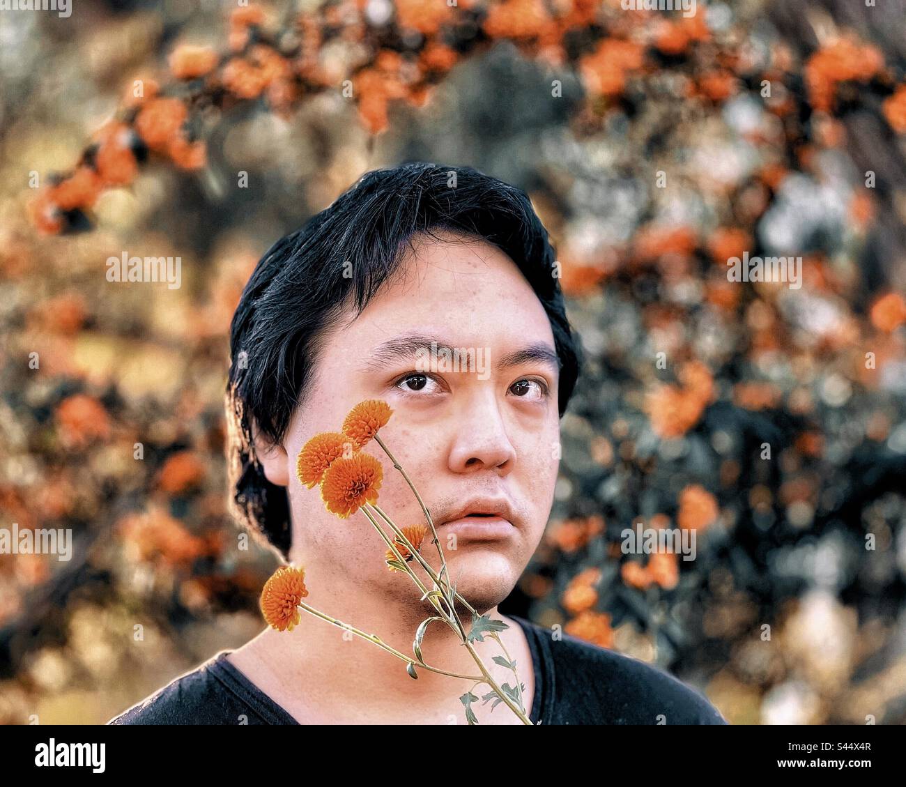 Close-up portrait of young Asian man with orange chrysanthemum flowers against orange Cotoneaster berry trees. Focus on foreground. Autumn themes. Stock Photo