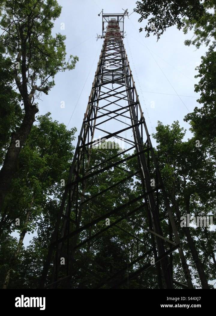 Antenna in the Woods ! Switzerland! - Smartphone Captured Stock Image