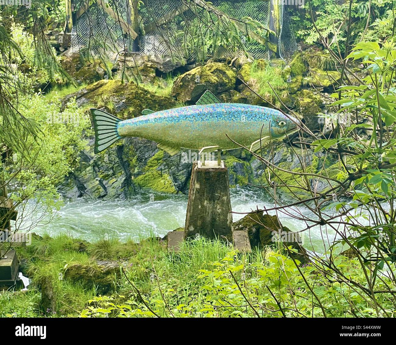 Salmon statue in Ketchikan Stock Photo - Alamy